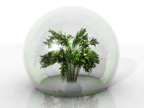 Plantera i bubblan — Stockfoto