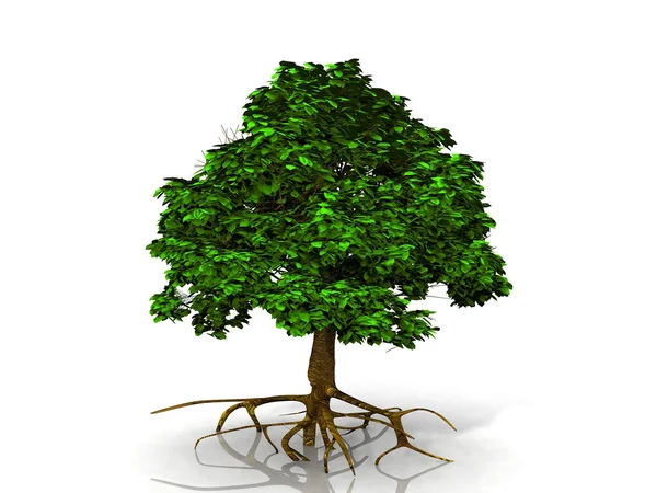 A tree — Stock Photo, Image