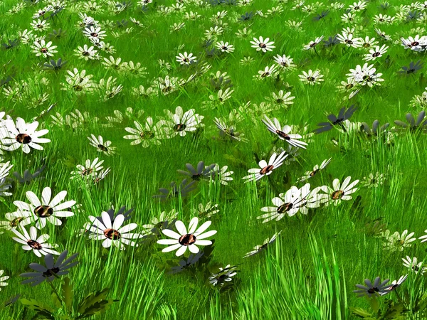 草与花 — 图库照片