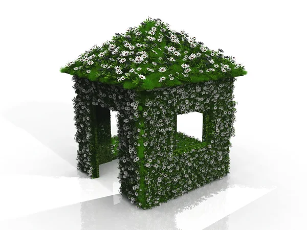 La casa verde — Foto de Stock