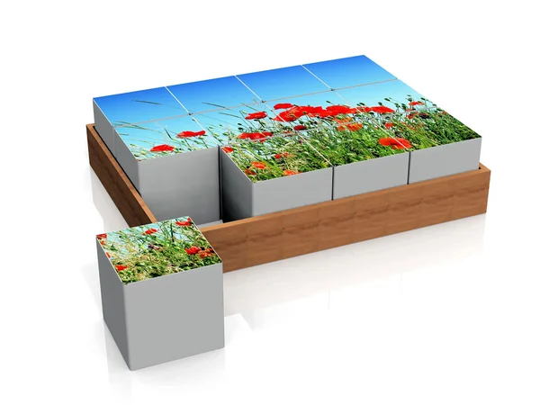 Cubes with poppies — Stock Photo, Image