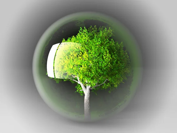 Träd i en genomskinlig bubbla — Stockfoto
