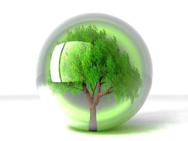 Дерево в прозрачном пузыре — стоковое фото