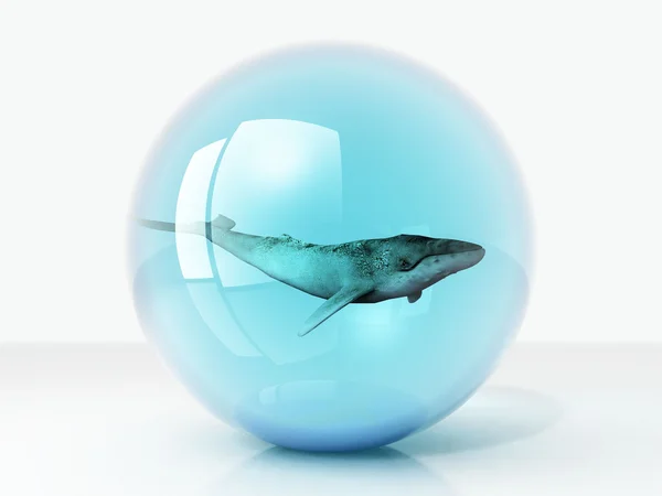 Whales in the bubble — Stock Photo, Image