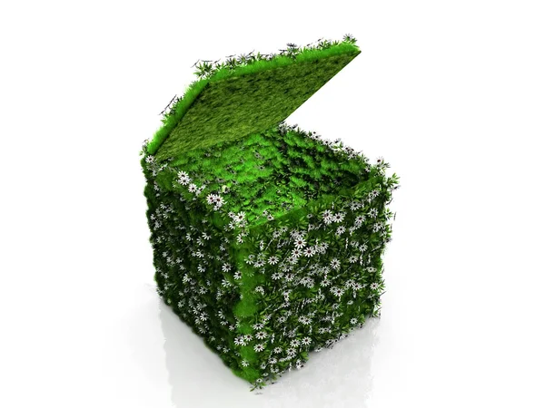Cube with grass and flowers — Stock Photo, Image