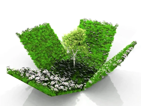 Cube with grass flowers and tree — Stock Photo, Image