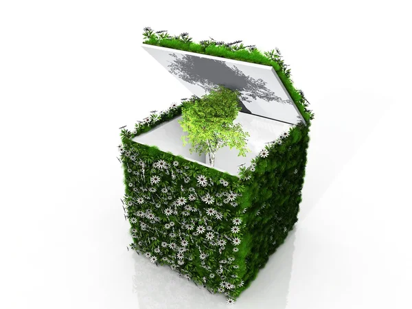 Cubo com flores de grama e árvore — Fotografia de Stock