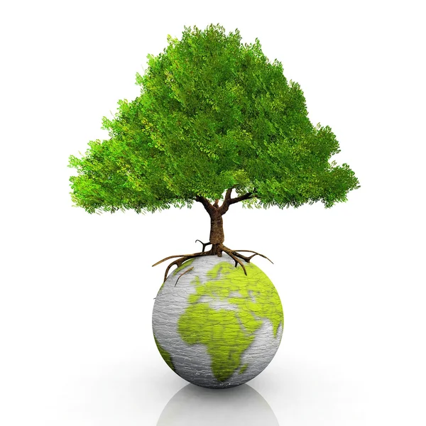 Zelená země a zelený strom — Stock fotografie