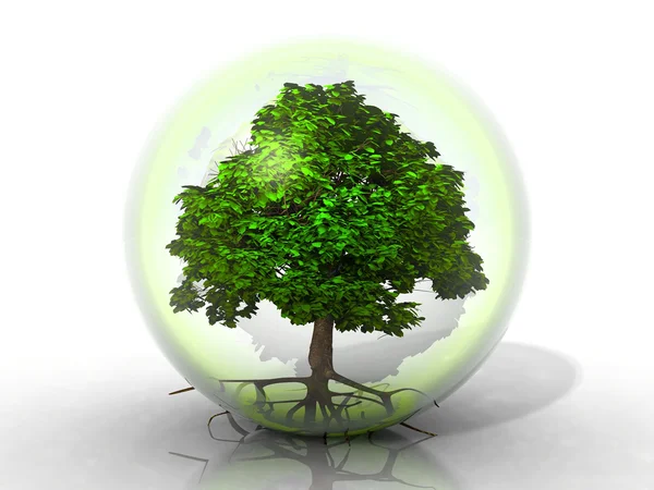 Tree in bubble — Stock Photo, Image