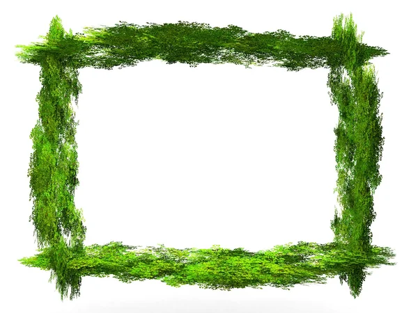 Frame and leaves — Stock Photo, Image