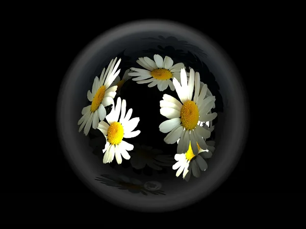 Квіти в бульбашці — стокове фото