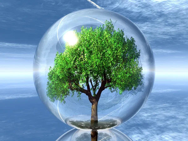 Árbol en una burbuja transparente — Foto de Stock