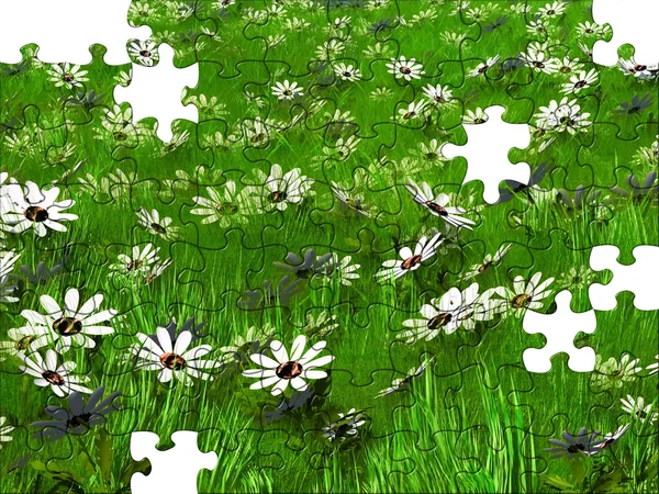 Puzzle grass and flowers — Stock Photo, Image
