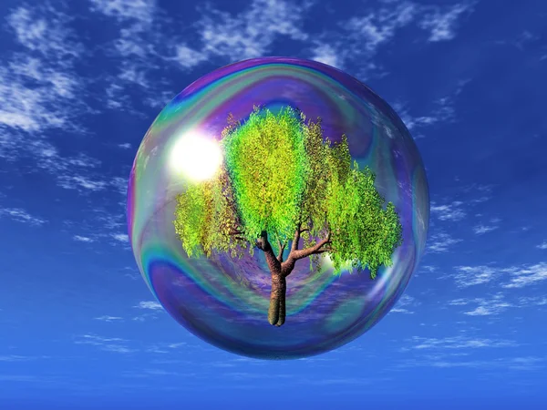 Дерево в прозрачном пузыре — стоковое фото