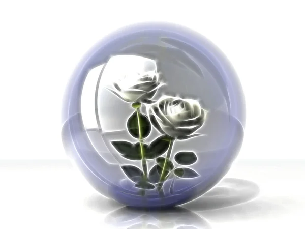 Weiße Rosen in einer Blase — Stockfoto