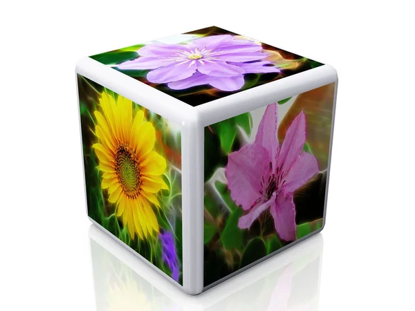 Cubo y flores fotos — Foto de Stock