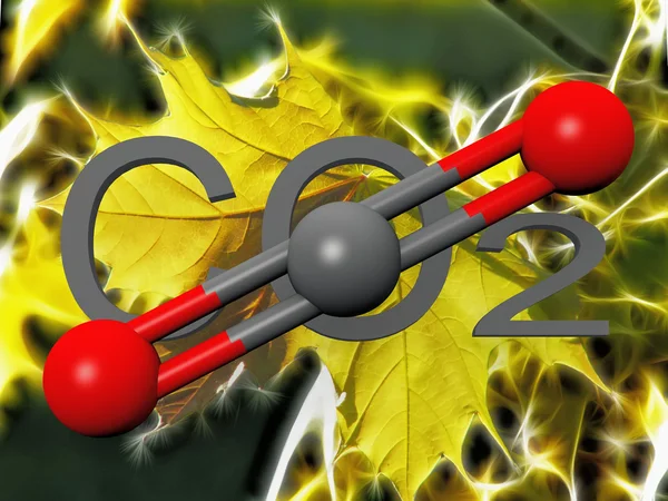 stock image Leaf and carbon atom