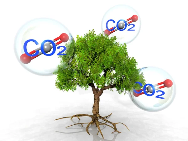 The tree and carbon dioxide — Stock Photo, Image