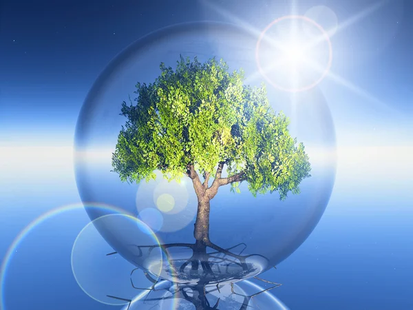 Drzewo w przejrzyste bubble — Zdjęcie stockowe