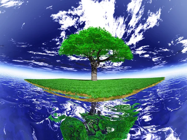 The green tree on an island — Stock Photo, Image