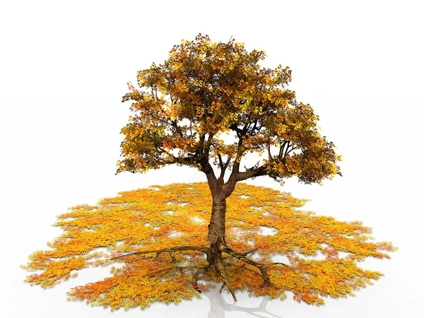 Herbstbaum und Blätter — Stockfoto