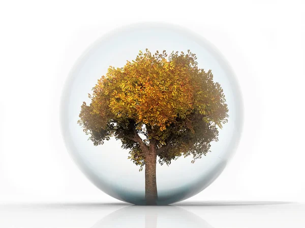 Drzewo w przejrzyste bubble — Zdjęcie stockowe