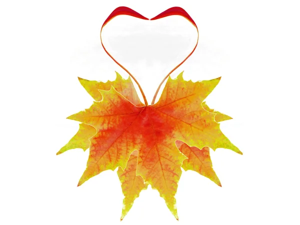 Folhas de outono em forma de coração — Fotografia de Stock