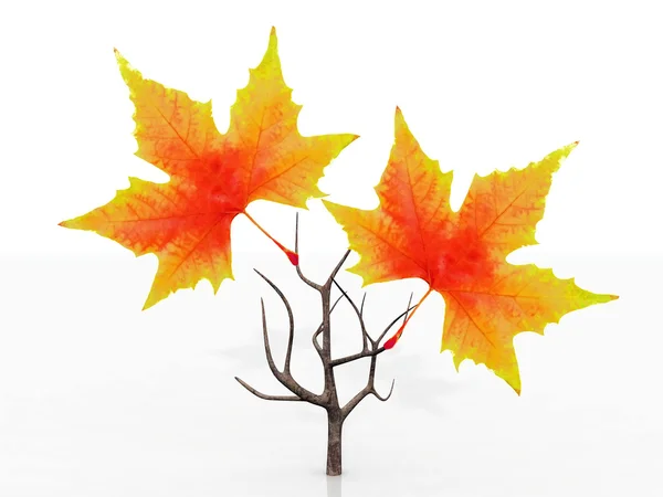 Pequeño árbol con hojas de otoño — Foto de Stock