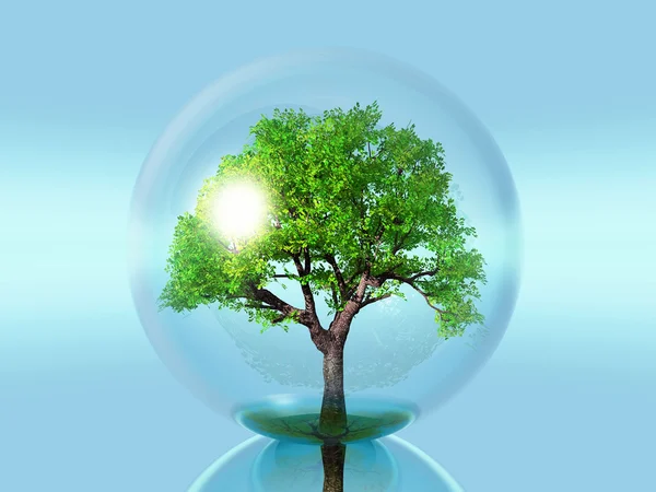 Дерево в прозорій бульбашці — стокове фото