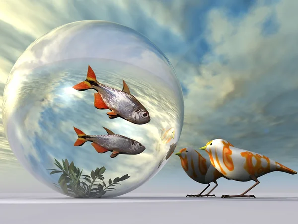 The fish and birds — Stock Photo, Image
