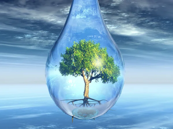 Tree in a drop — Stock Photo, Image