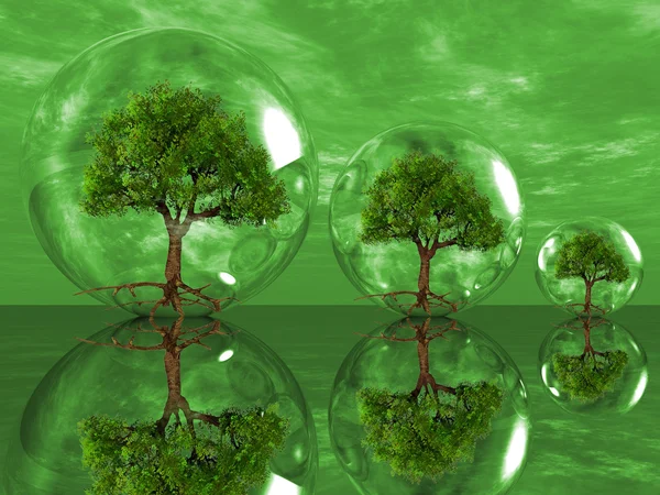 Les arbres dans une bulle — Photo