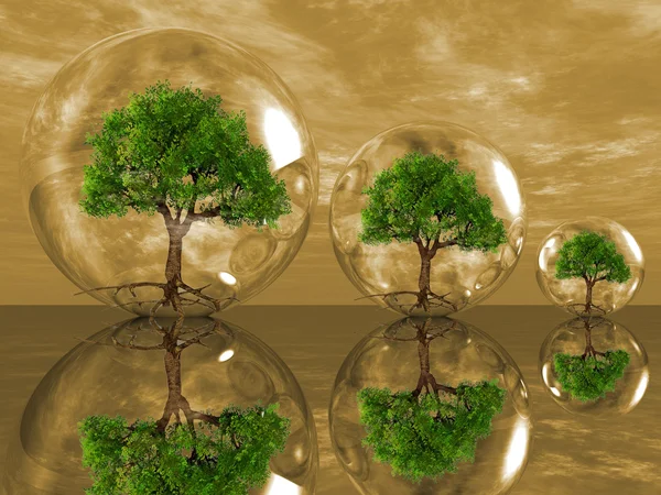 Дерева в бульбашках — стокове фото