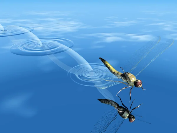 Dragonfly sauter sur l'eau — Photo