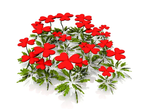 Heart flowers on a white background — Stock Photo, Image