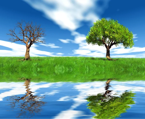 Ağaç ve göl — Stok fotoğraf