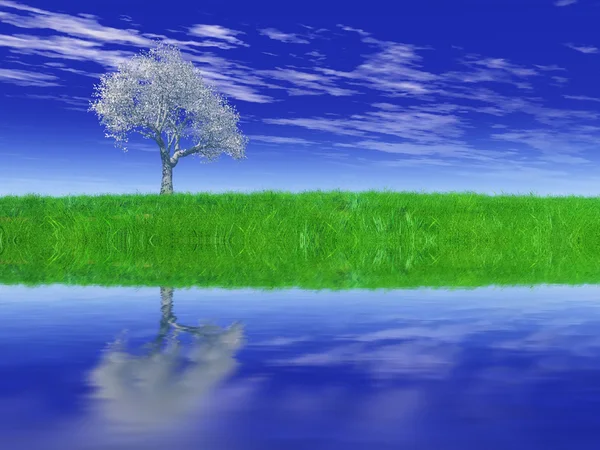 A árvore, o prado e a água — Fotografia de Stock