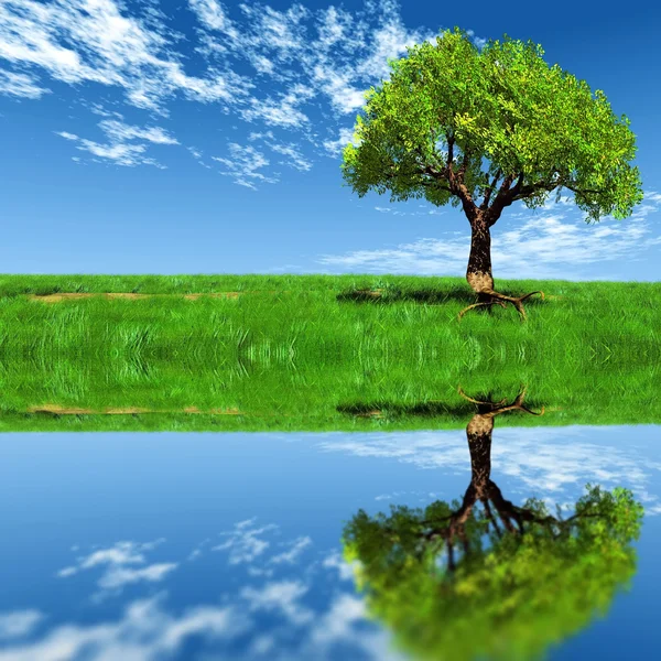 Der Baum, die Wiese und das Wasser — Stockfoto
