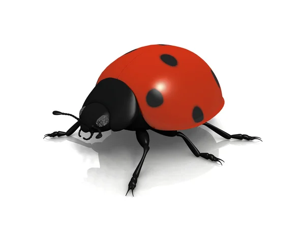 The ladybug — Stock Photo, Image