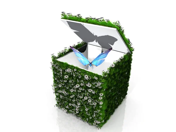 Der Schmetterling im grünen Kasten — Stockfoto