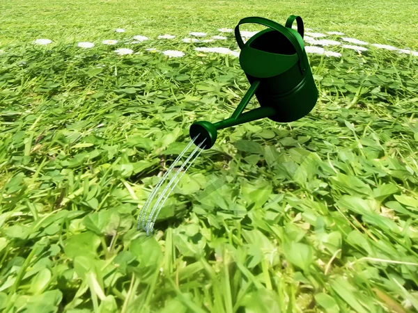 水まき缶と草 — ストック写真