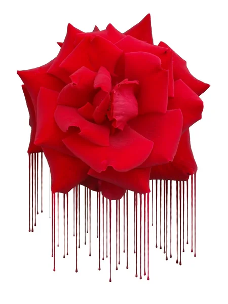 Rose in paint and sagging — Stock Photo, Image