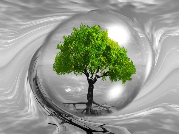 stock image Tree in a transparent bubble