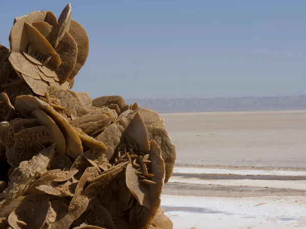 Suola aavikko — kuvapankkivalokuva