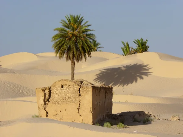 रेत रेगिस्तान — स्टॉक फ़ोटो, इमेज
