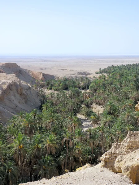 Górskie oazy w Tunezji — Zdjęcie stockowe