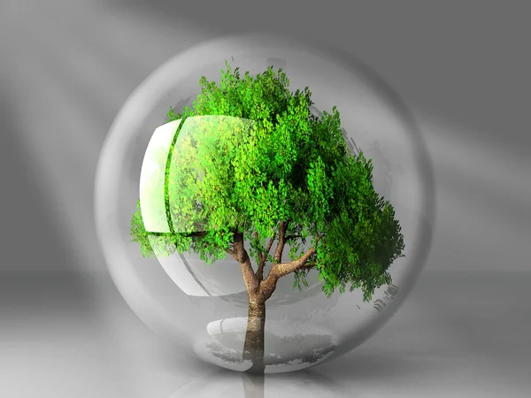 Baum in einer transparenten Blase — Stockfoto