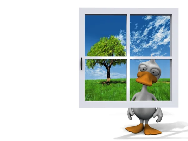 Pato e janela — Fotografia de Stock