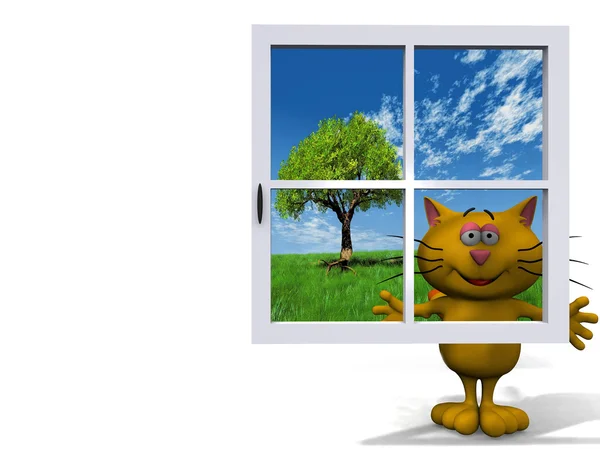 Cat and window — Stock Photo, Image