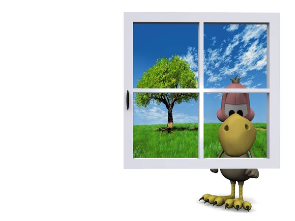 Avvoltoio e finestra — Foto Stock